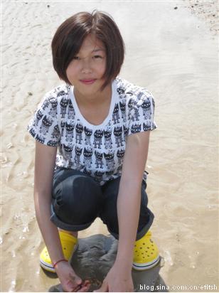 2010efٺΌW(xu)f2013sé˹F(tun)