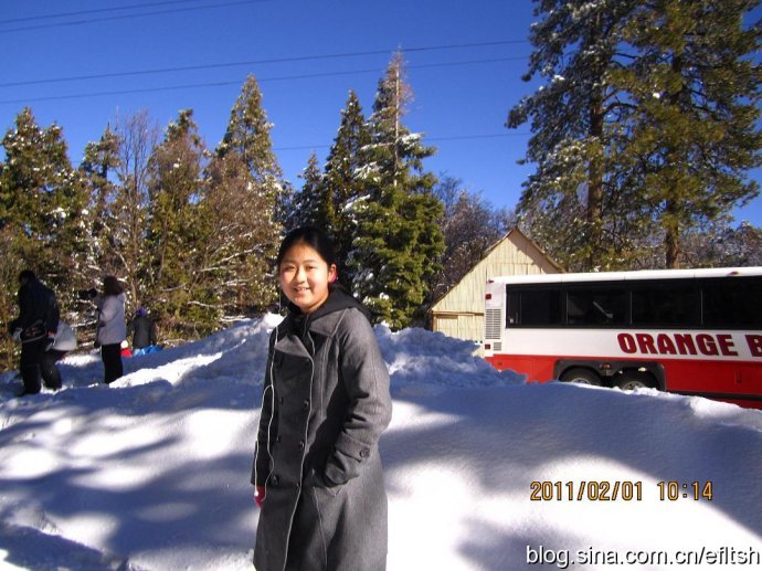 2011efӢںΌW(xu)(gu)ɼs111()