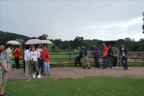 ؚwȻ--longleat <wbr>safari <wbr>park(Ұ@-1