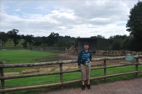 ؚwȻ--longleat <wbr>safari <wbr>park(Ұ@-1