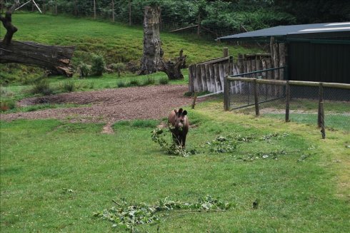 ؚwȻ--longleat <wbr>safari <wbr>park(Ұ@-2