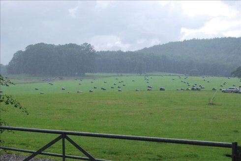 ؚwȻ--longleat <wbr>safari <wbr>park(Ұ(dng)@-4