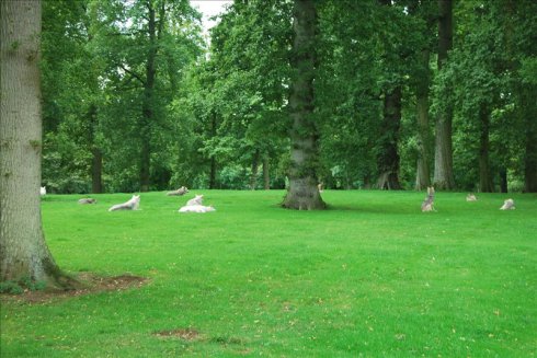 ؚwȻ--longleat <wbr>safari <wbr>park(Ұ(dng)@-3